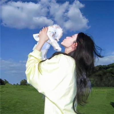 大秦帝国之纵横